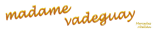 logo Vadeguay